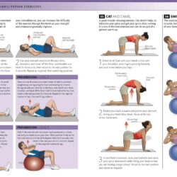 Pain exercises lower back relief enlarge click